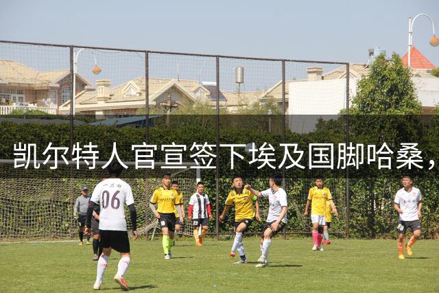 凯尔特人官宣签下埃及国脚哈桑，转会费高达1000万欧
